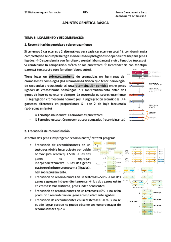 Miniatura del documento T3.pdf