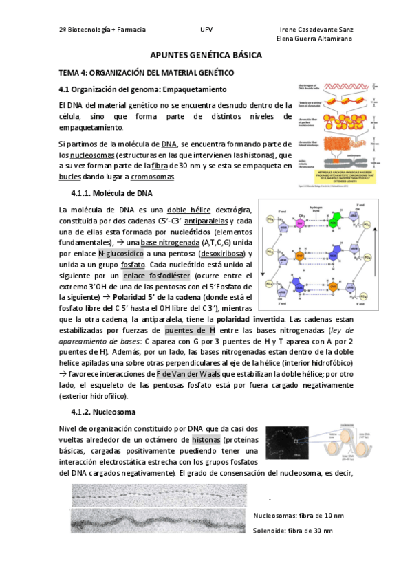Miniatura del documento T4.pdf