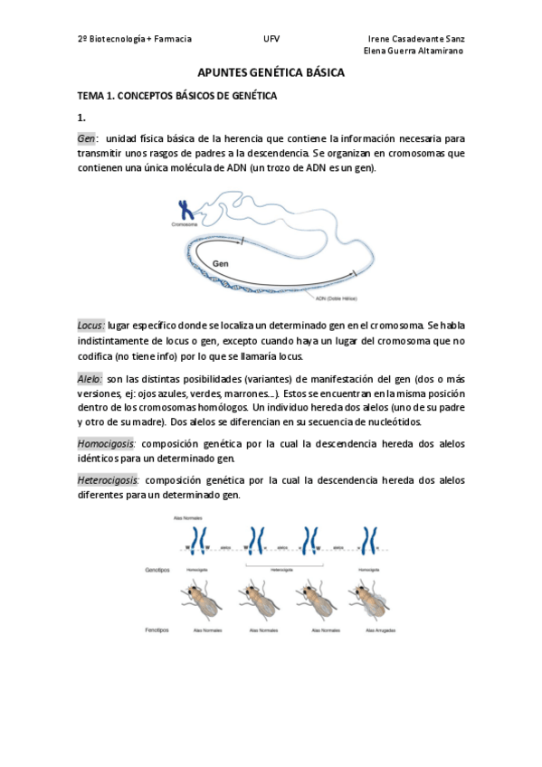 Miniatura del documento T1.pdf