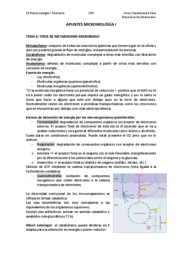 Miniatura del documento T6.pdf