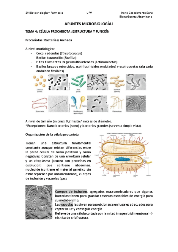 Miniatura del documento T4.pdf