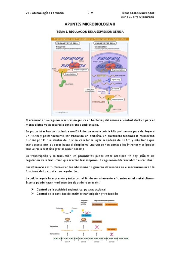 Miniatura del documento T3.pdf