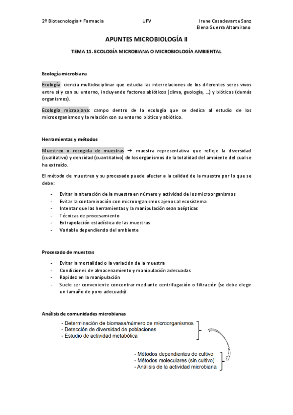Miniatura del documento T11.pdf