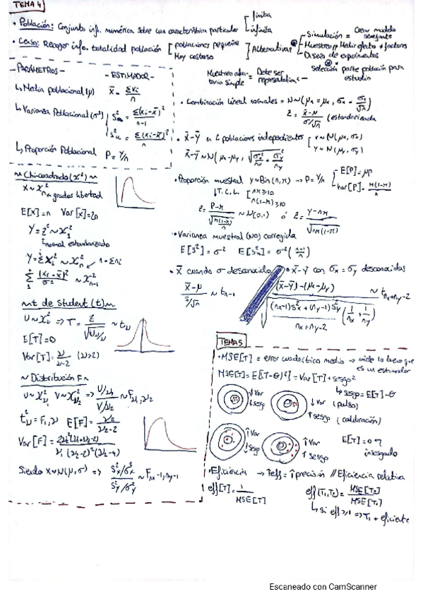 Miniatura del documento resumen1.pdf