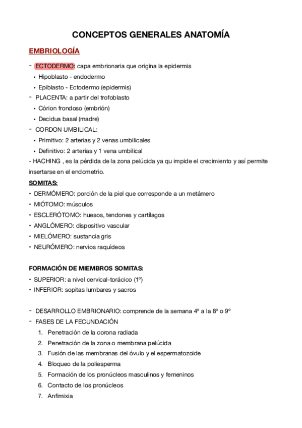 Miniatura del documento Conceptos.pdf