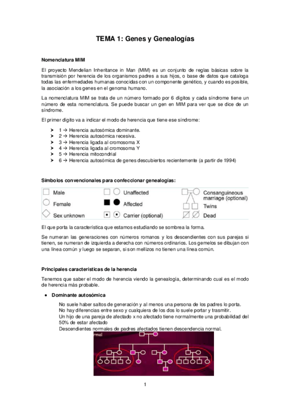 Miniatura del documento Tema-1.pdf