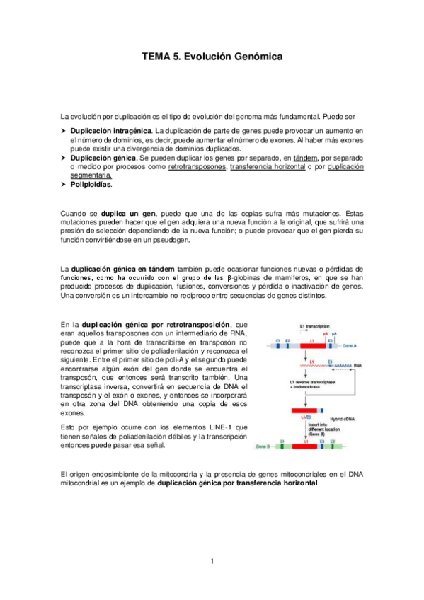 Miniatura del documento Tema-5.pdf