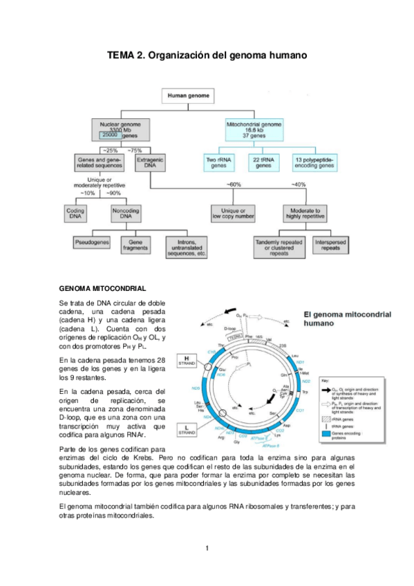 Miniatura del documento Tema-2.pdf