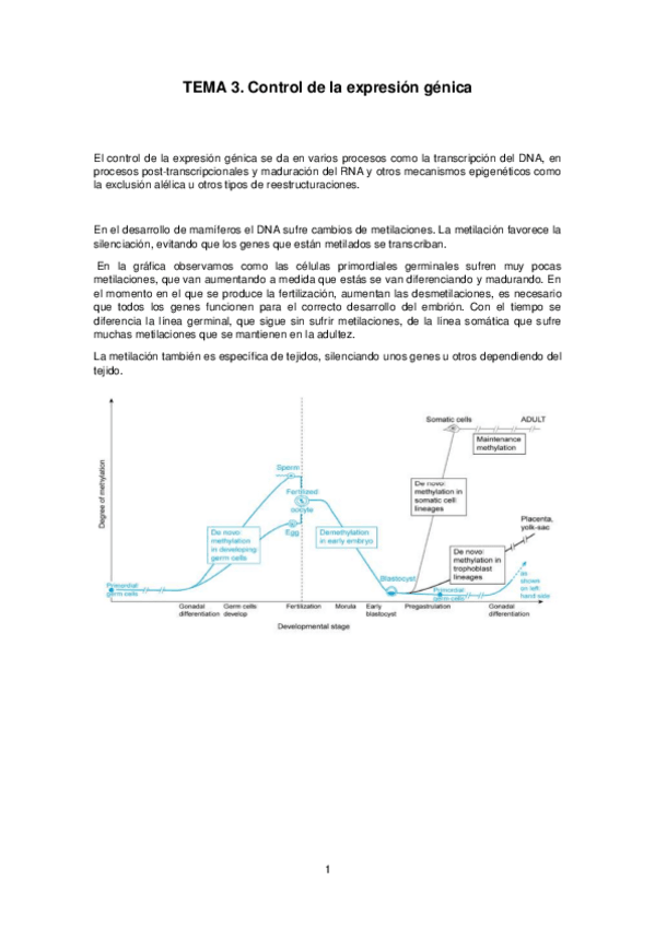 Miniatura del documento Tema-3.pdf