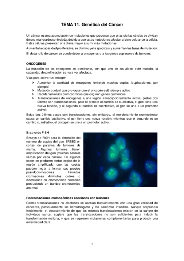 Miniatura del documento Tema-11.pdf
