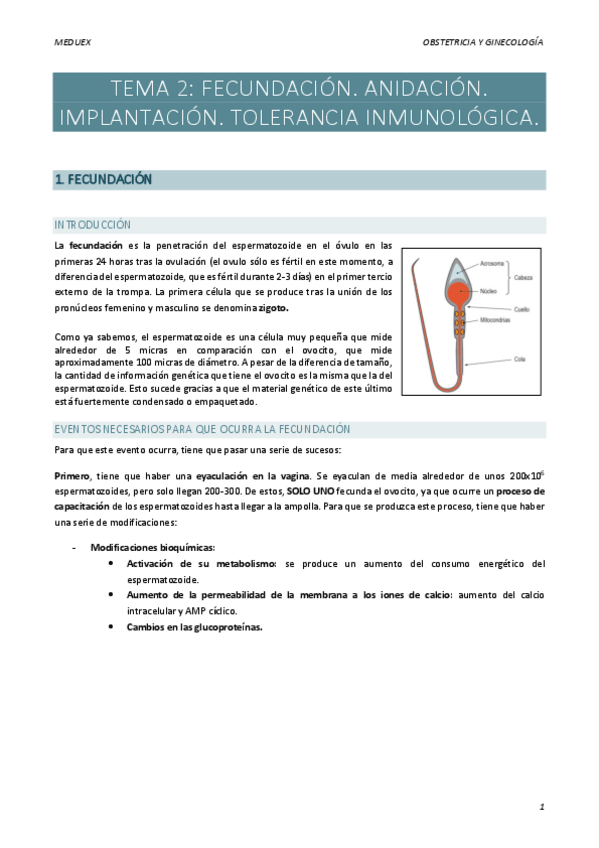 Miniatura del documento TEMA-2-obstetricia.pdf