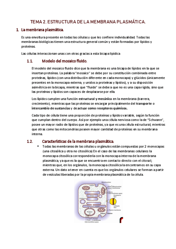 Miniatura del documento TEMA-2-MEMBRANA-PLASMATICA.pdf