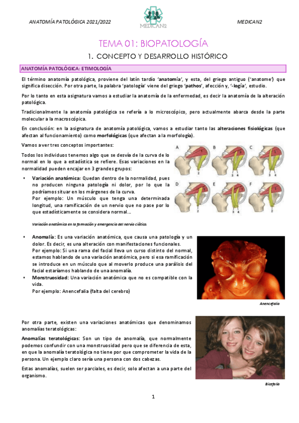 Miniatura del documento TEMA-1-1.pdf