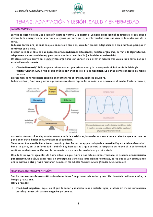 Miniatura del documento TEMA-2.pdf
