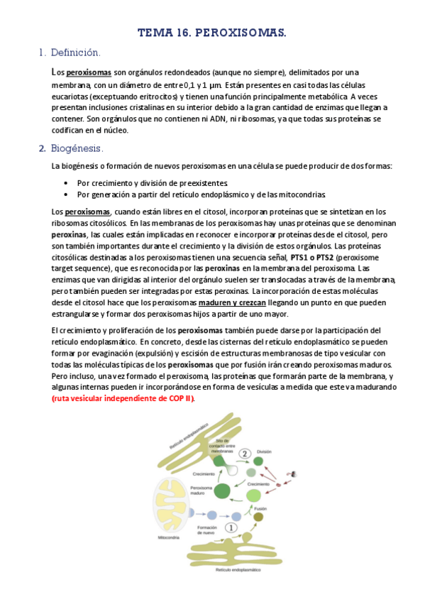 Miniatura del documento TEMA16-PEROXISOMAS.pdf