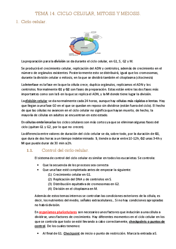 Miniatura del documento TEMA-14-MITOSIS-MEIOSIS-CICLO-CELULAR-CITOESQUELETOENMITOIS.pdf