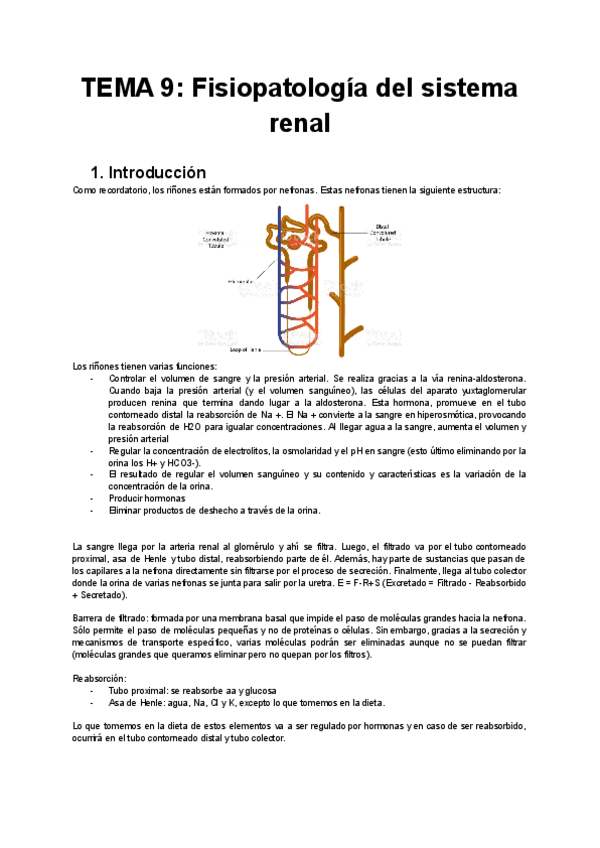 Miniatura del documento FISH-Tema-9-Fisiopatologia-del-Sistema-Renal.pdf