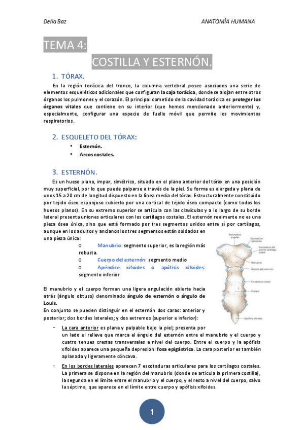 Miniatura del documento T-4-COLUMNAS-Y-ESTERNON.pdf