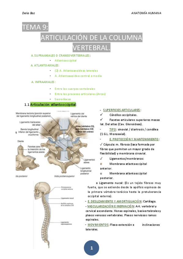 Miniatura del documento T-9-ARTICULACIONES-DE-LA-COLUMNA-VERTEBRAL.pdf