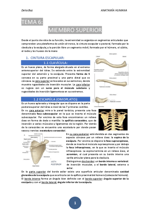 Miniatura del documento T-6-MIEMBRO-SUPERIOR.pdf