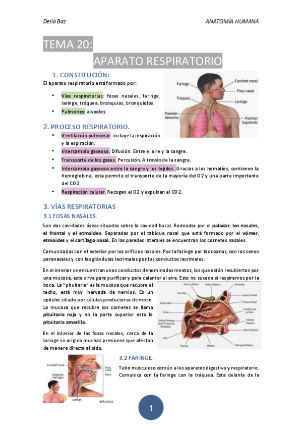 Miniatura del documento T-20-APARATO-RESPIRATORIO.pdf