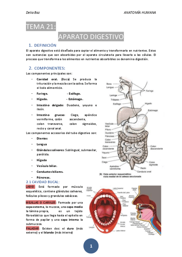 Miniatura del documento T-21-APARATO-DIGESTIVO.pdf