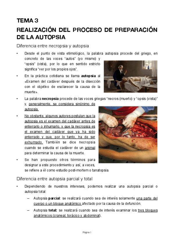 Miniatura del documento Tema-3.pdf