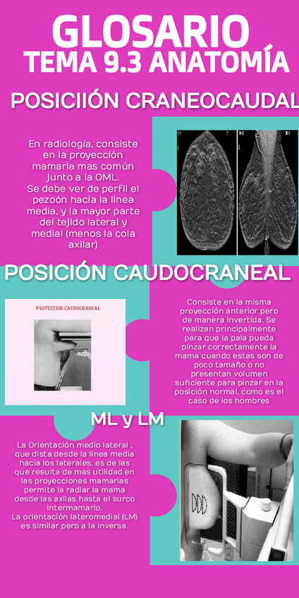 Miniatura del documento glosario-9.pdf