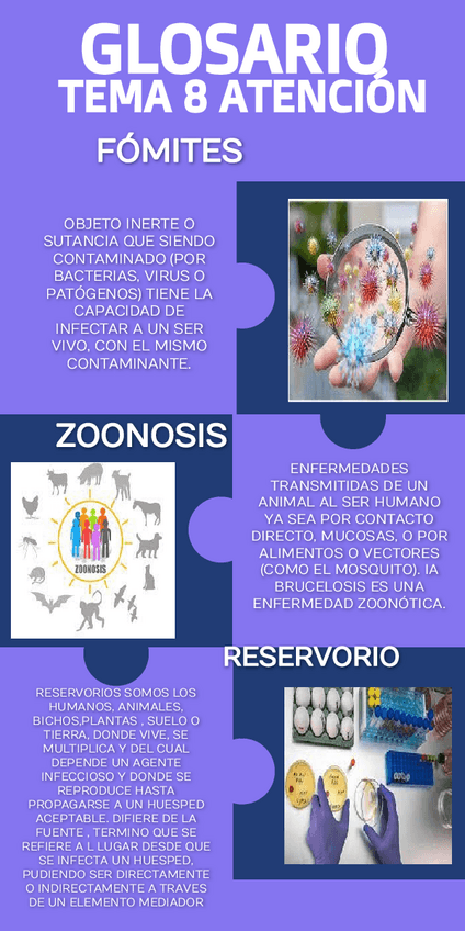 Miniatura del documento GLOSARIO-ATENCION-TEMA-8.pdf