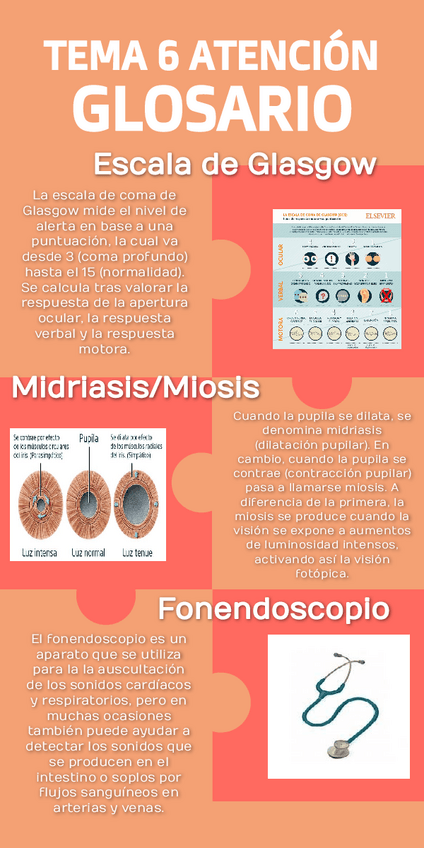 Miniatura del documento glosario-tema-6-atencion.pdf