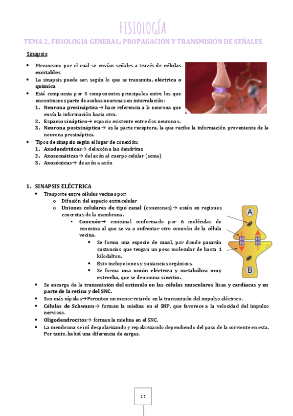 Miniatura del documento 2.pdf