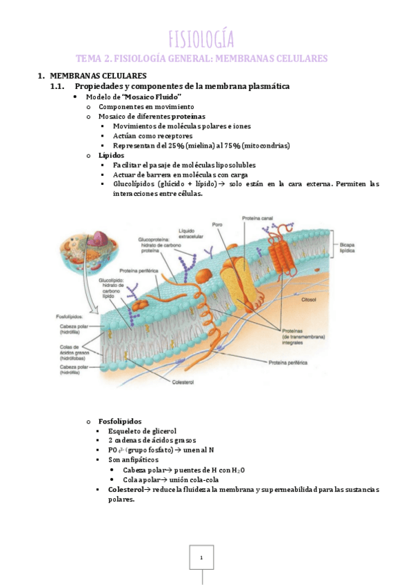 Miniatura del documento 2.pdf