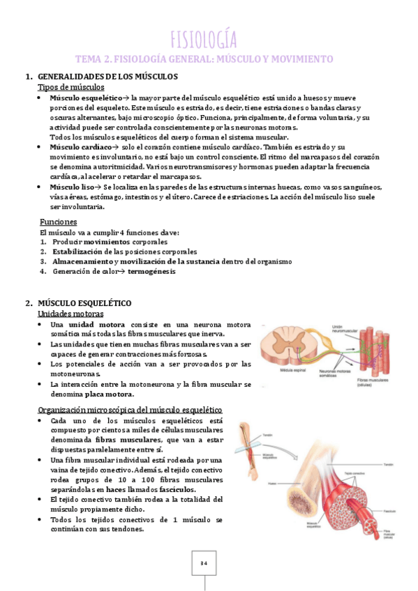 Miniatura del documento 2.pdf