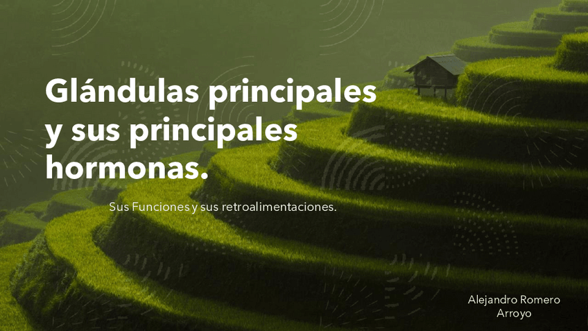 Miniatura del documento hormonas-y-glandulas.pdf