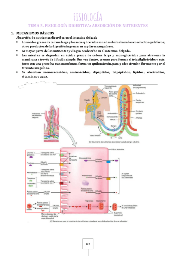 Miniatura del documento 5.pdf