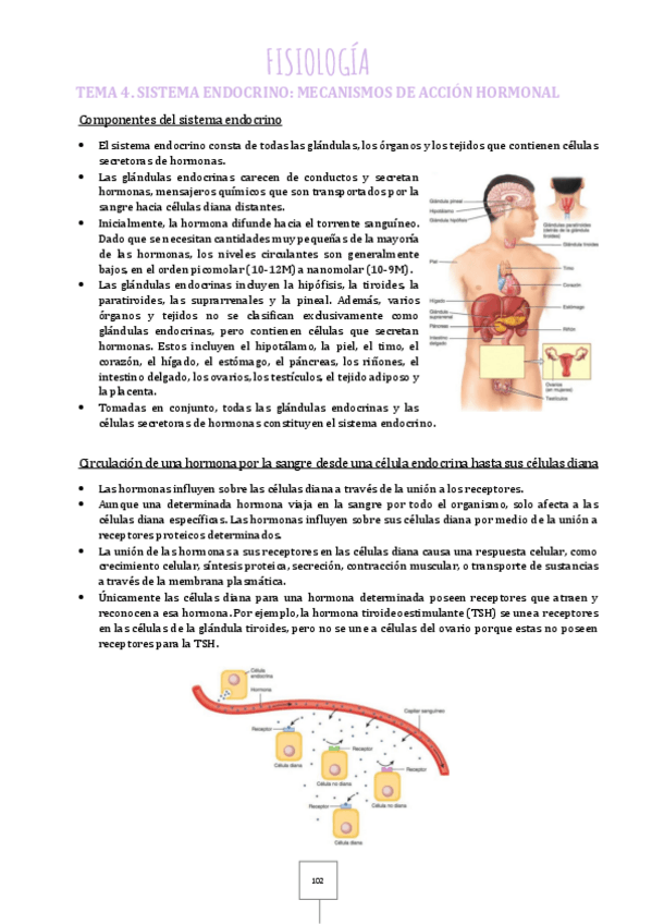 Miniatura del documento 4.pdf