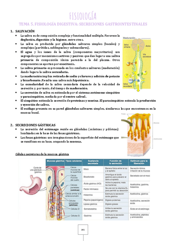 Miniatura del documento 5.pdf