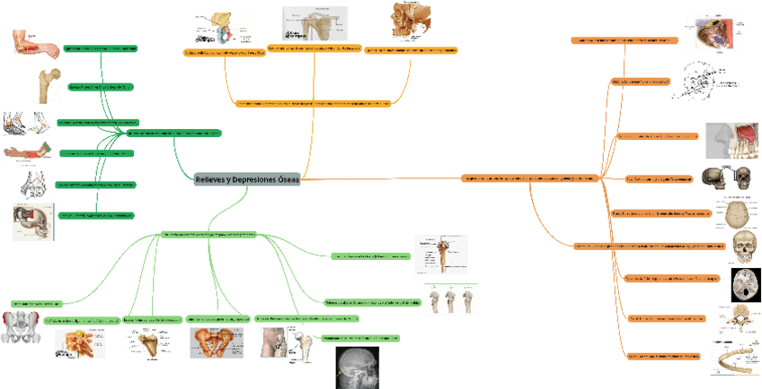 Miniatura del documento mapa-mental-articulaciones-y-depresiones.pdf