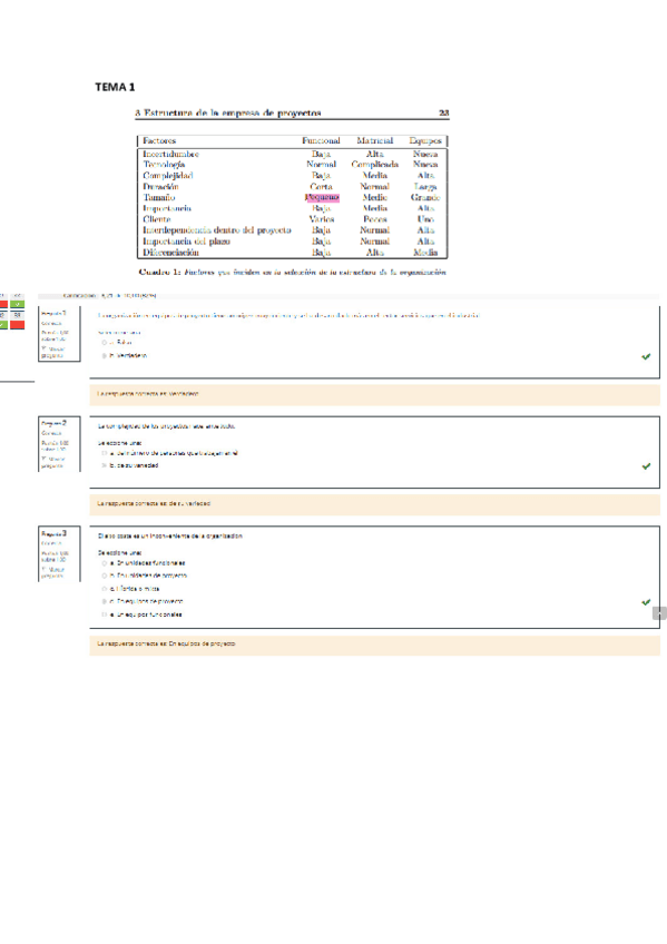 Miniatura del documento DPpregsTemas.pdf