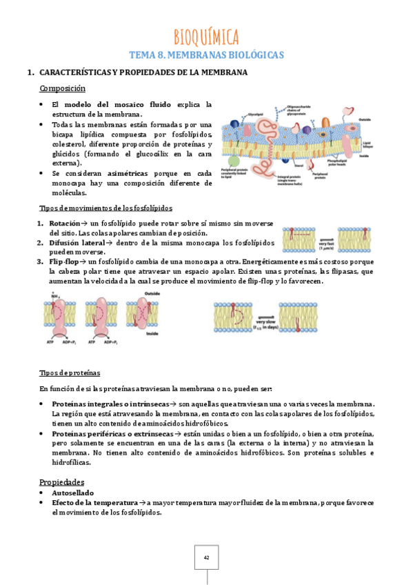 Miniatura del documento Tema-8.pdf