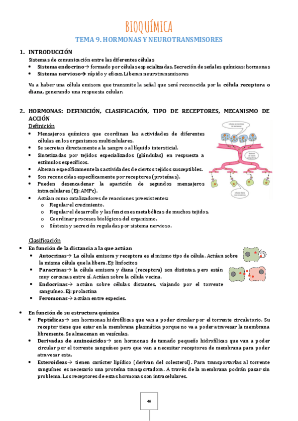 Miniatura del documento Tema-9.pdf