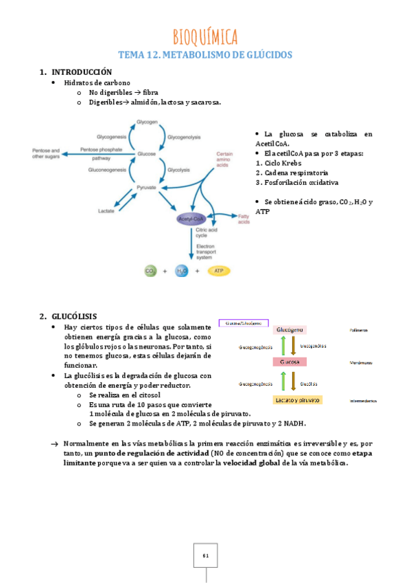 Miniatura del documento Tema-12.pdf
