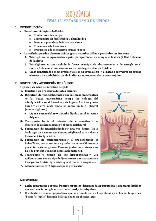 Miniatura del documento Tema-15.pdf