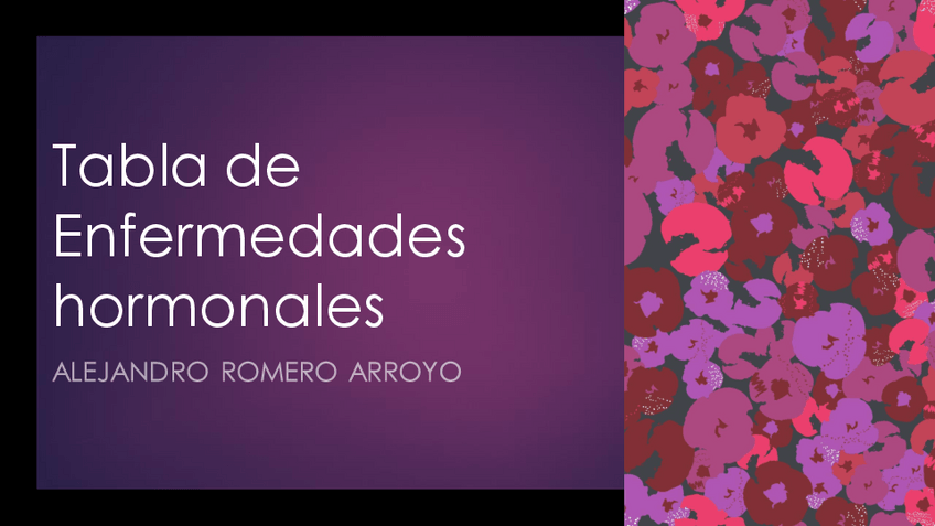 Miniatura del documento Presentacion-2.pdf