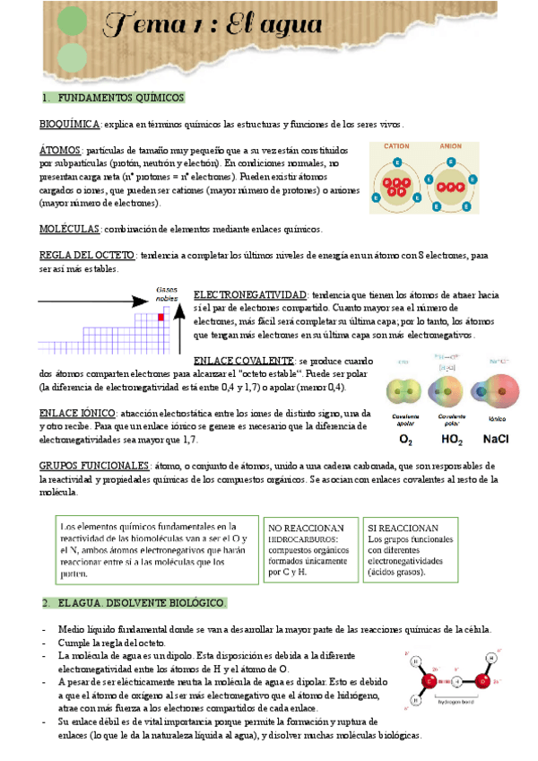 Miniatura del documento Tema-1.pdf