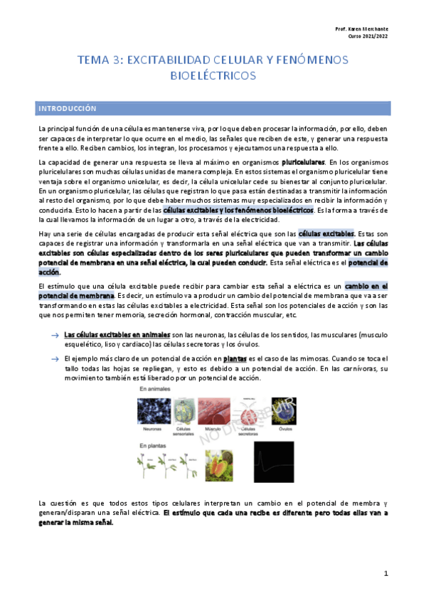 Miniatura del documento Tema-3-BF.pdf