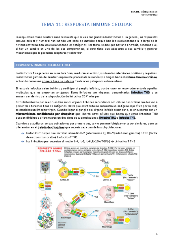 Miniatura del documento Tema-11.pdf