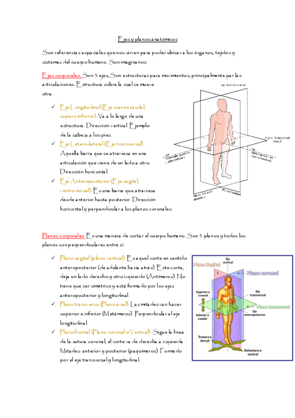 Miniatura del documento Resumen-planos-y-ejesSemana-01.pdf