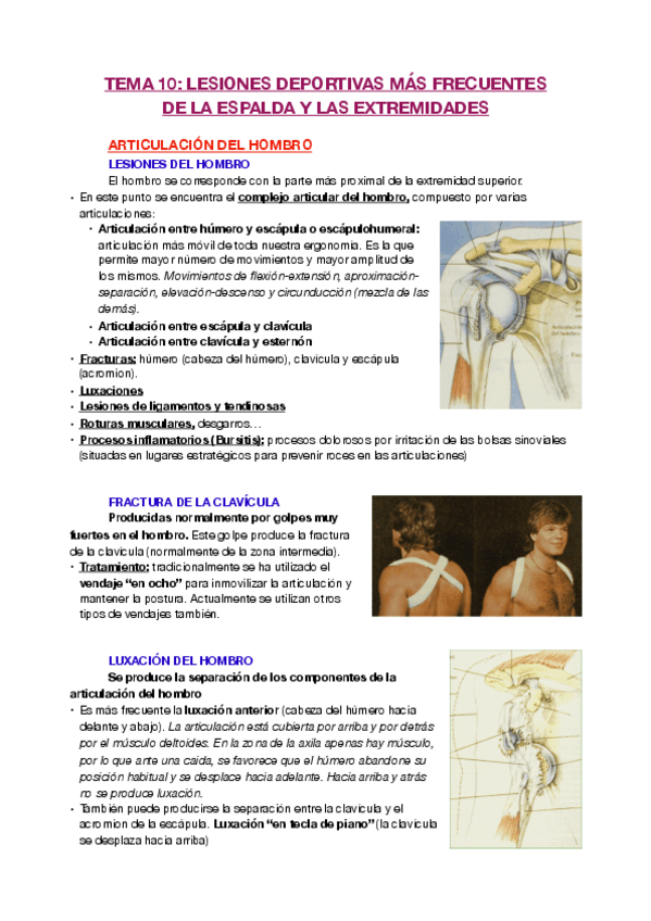 Miniatura del documento T10.pdf