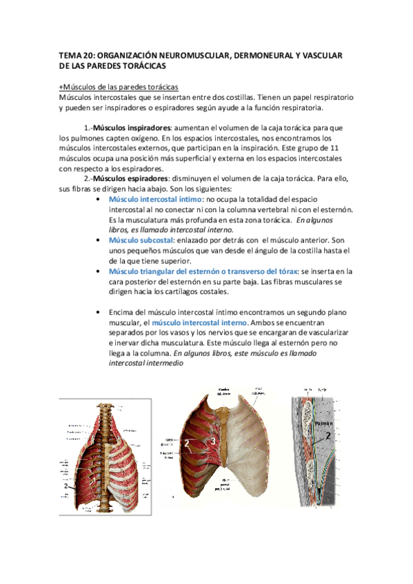 Miniatura del documento TEMA 20.pdf